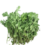 Sage