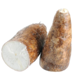 Arrowroot