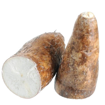 Arrowroot