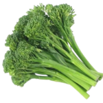 Broccoli