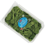 Baby Spinach